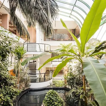 Cidnay - Charming & Executive Center