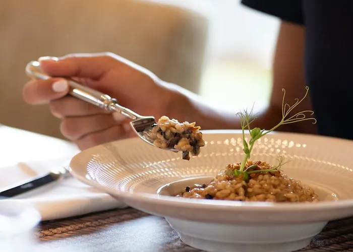 Cidnay - & Executive Center Santo Tirso